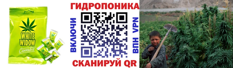 Еда ТГК марихуана  где купить наркотик  дарк нет Telegram  Махачкала 