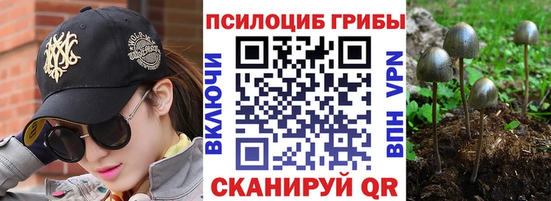 Псилоцибиновые грибы прущие грибы  закладка  Махачкала 
