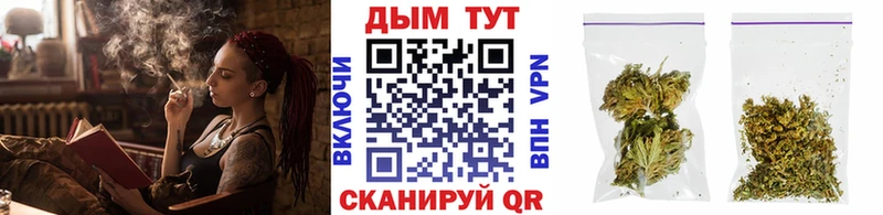 Каннабис White Widow Махачкала